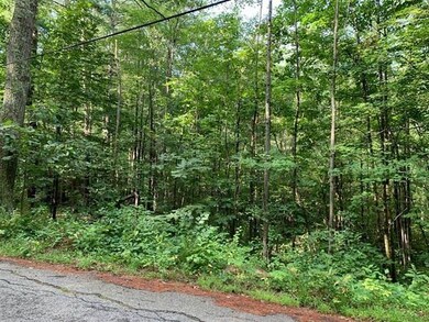Lot 47 Brickyard Rd, Athol, MA 01331 - photo 3