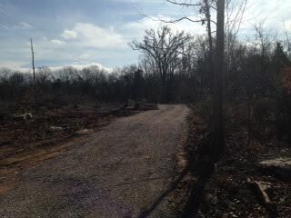 A view from house back toward road.