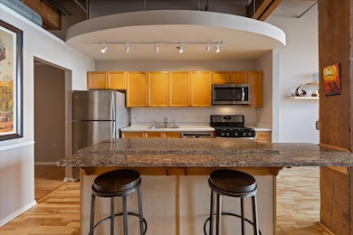 Bicycle Station Lofts unit 403, Chicago, IL 60616 - photo 4