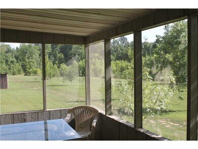 view from screened porch