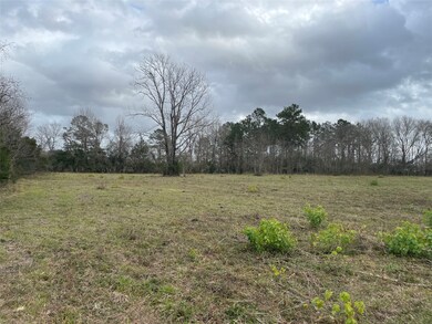 000 County Road 2367, Hardin, TX 77575 - photo 4