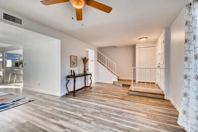 Designer paint and baseboards