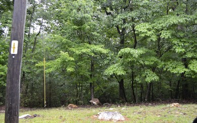 Additional View