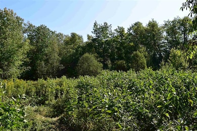 401-18 Harriman Rd, Dalton, NH 03598 - photo 3