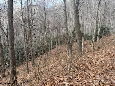 68 Grouse Rd unit 68, Clyde, NC 28721 - photo 4