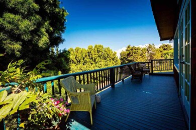 890 Upper Kimo Dr, Kula, HI 96790 - photo 6