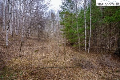 Another view of possible build site near the entra