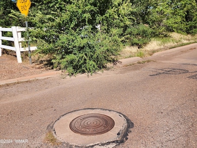 0 W 19th St S, Snowflake, AZ 85937 - photo 7