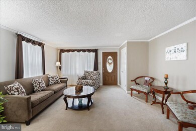 920 Lawnton Terrace, Glenolden, PA 19036 - photo 6