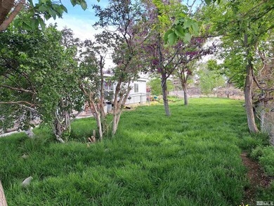 1516 Soda Lake Rd, Fallon, NV 89406 - photo 2