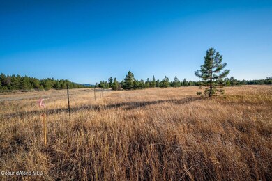 NNA Arden Ln Lot 2, Athol, ID 83801 - photo 2