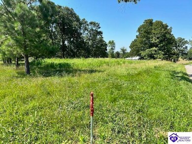 TRACTS 2,3,4,5 Copelin Rd, Sonora, KY 42776 - photo 5