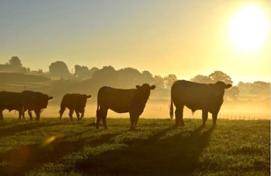 000 State Route W, Granby, MO 64844 - photo 2
