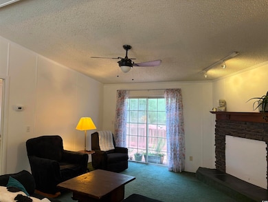 Carpeted living room featuring track lighting, a textured ceiling, a ceiling fan, and a fireplace