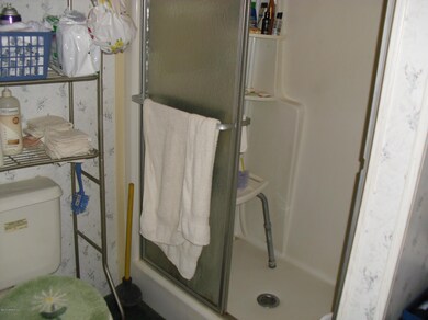 Master Bath shower 014