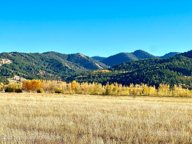 Canyon Wren Fall Photo1