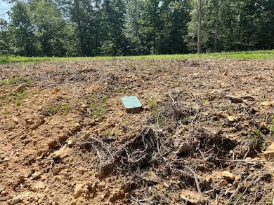 10898 Back Piney Rd, Bon Aqua, TN 37025 - photo 4