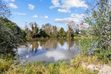 12330 Dannhaus Rd, Needville, TX 77461 - photo 3