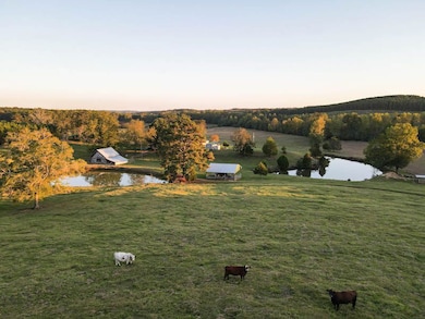 845 Turner Rd, Fayette, AL 35555 - photo 2