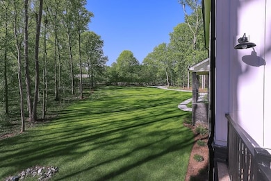View of grassy yard
