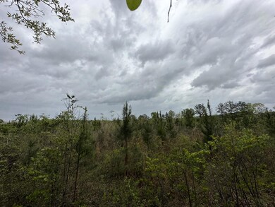 Tract#6103 E Lloyd Mill Rd, Other, AL 00N/A - photo 6