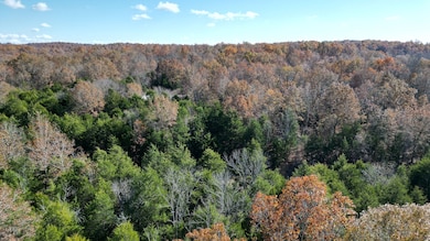 1207 Santa fe Rd, Horseshoe Bend, AR 72512 - photo 7