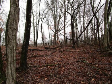 0 Calloway Rd unit 916783, Blaine, TN 37709 - photo 2