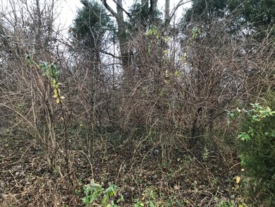 10200 Bardstown Rd, Louisville, KY 40291 - photo 3