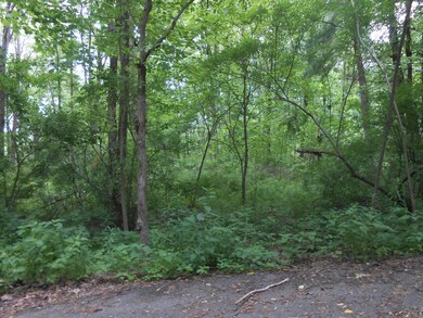 1 Davis Ct, Stroudsburg, PA 18360 - photo 3