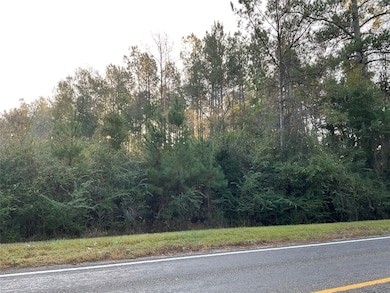 000 Hwy 92s E, Spurger, TX 77660 - photo 2