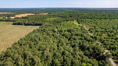 4309 Jimmy Goff Ct, Albany, GA 31705 - photo 3