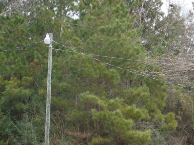 1021 Austin Smith Rd, Ruth, MS 39662 - photo 7