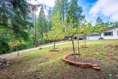 9201 Country Rd, Georgetown, CA 95634 - photo 7