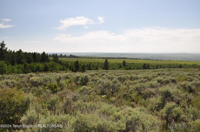 Canyon Creek Ranch 290