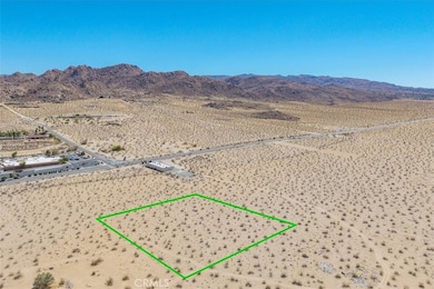 6224 Pelican Ave, Joshua Tree, CA 92252 - photo 2