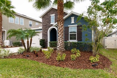 Front of Home - Beautiful Palms
