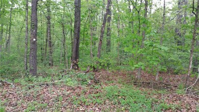 0 Ipswich Dir unit 1014743, Bella Vista, AR 72714 - photo 2