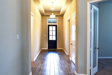 3411 Willow Crescent Ct, Fulshear, TX 77441 - photo 4