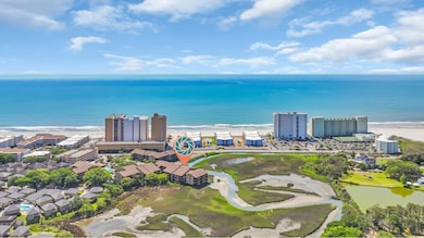 Bird's eye view of expansive coastline