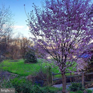 85 Valley Rd unit 1, Phoenixville, PA 19460 - photo 3