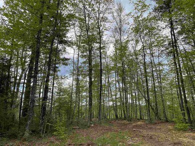 0 Long View Ln unit 2 4809138, Westmore, VT 05860 - photo 6