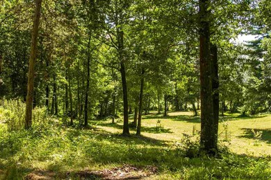 207 Pleasantvale Rd, Tivoli, NY 12583 - photo 6