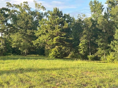 View of wooded area