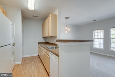 22607 Blue Elder Terrace unit 304, Ashburn, VA 20148 - photo 4
