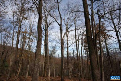 1450 Crawfords Climb unit RODES VALLEY FOOTHIL, Nellysford, VA 22958 - photo 2