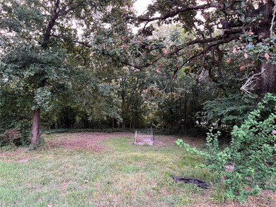 Looking into the woods.