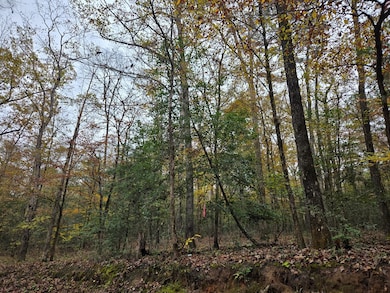 R22961 County Road 2150, Colmesneil, TX 75979 - photo 2