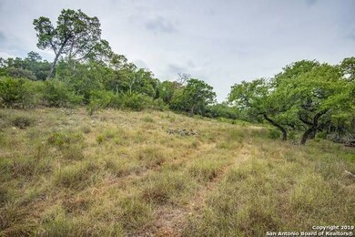 24380 Scenic Loop Rd, San Antonio, TX 78255 - photo 4