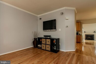 43450 Jubilee St, Chantilly, VA 20152 - photo 7