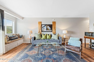 1260 Ski View Dr unit 8203, Gatlinburg, TN 37738 - photo 2